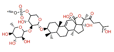 Leucospilotaside A